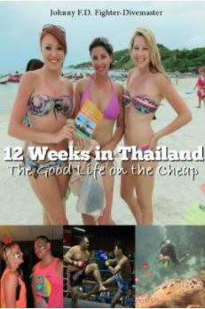 The Power Of Not Giving Up - Johnny FD Book Cover -12 Weeks In Thailand 