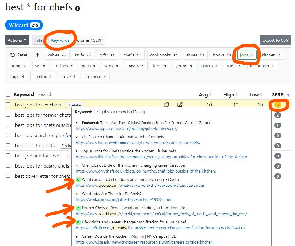 Keyword Chef review - SERP report filtered by keyword