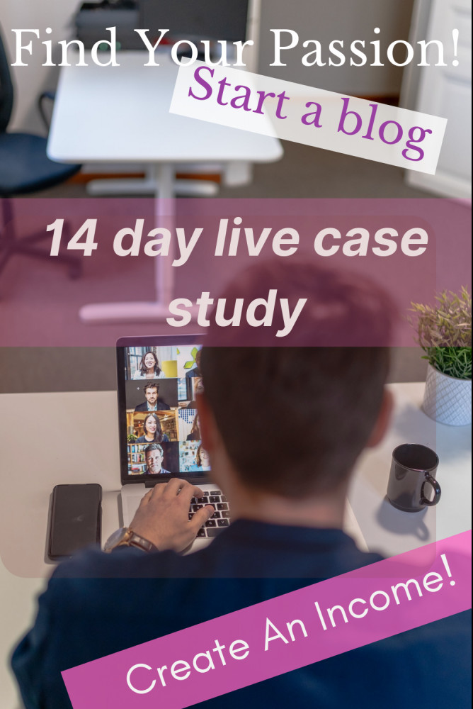 Following a live blog case study online. Going from Niche Research to Profits.